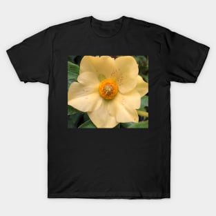 Tender Yellow Flower T-Shirt